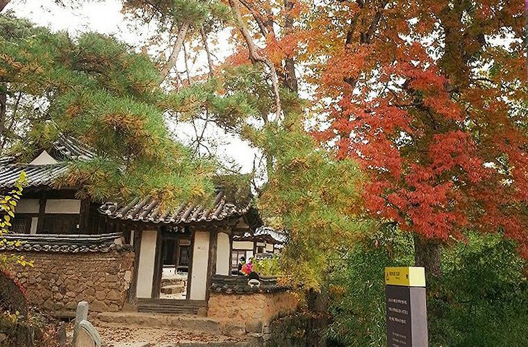 Okyeon Jeongsa Bed & Breakfast Андонг Екстериор снимка