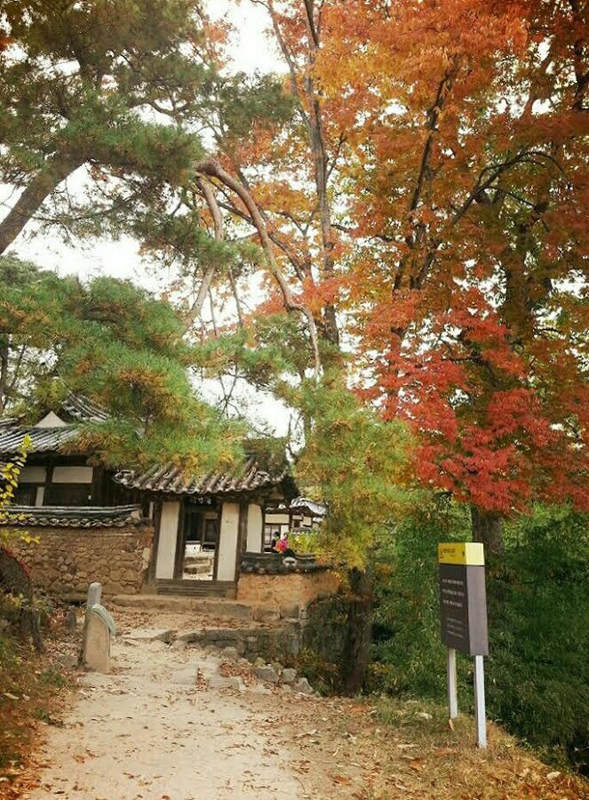 Okyeon Jeongsa Bed & Breakfast Андонг Екстериор снимка