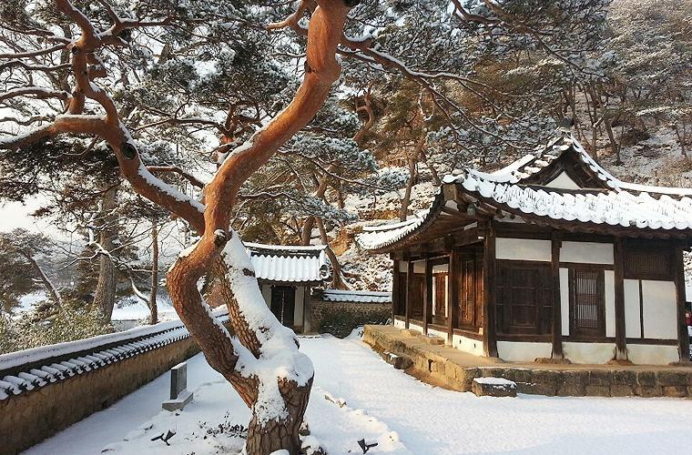 Okyeon Jeongsa Bed & Breakfast Андонг Екстериор снимка