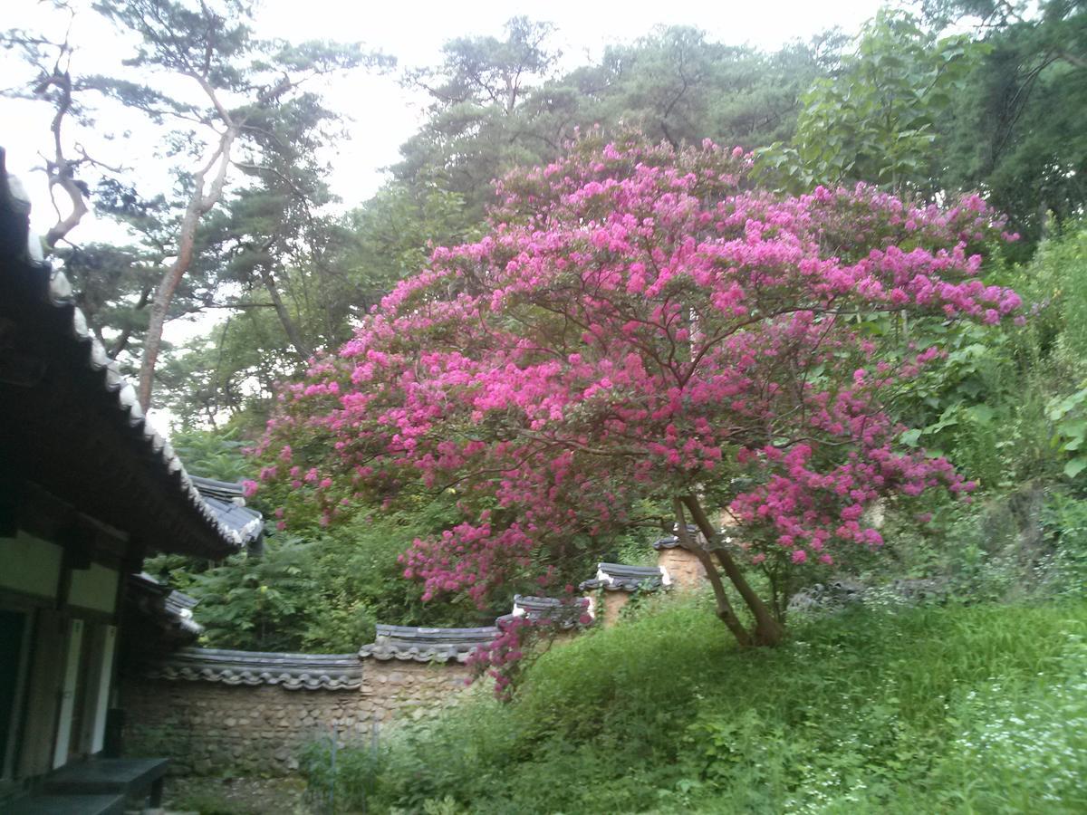 Okyeon Jeongsa Bed & Breakfast Андонг Екстериор снимка